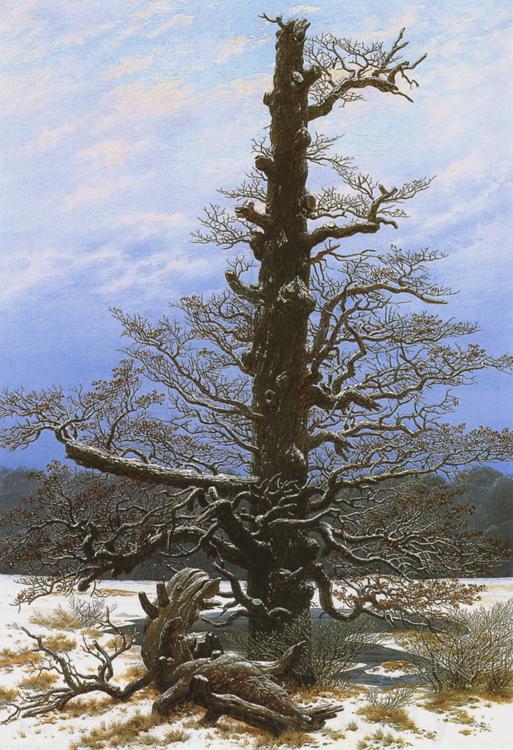 Caspar David Friedrich Oak Tree in the Snow (mk10) Norge oil painting art
